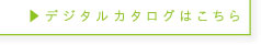 �f�W�^���J�^���O�͂�����